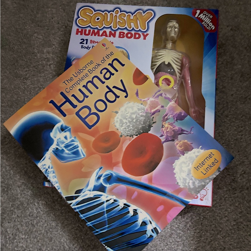 Squishy Human Body 21‎ removable parts + The Usborne Complete Human Body Book 📕